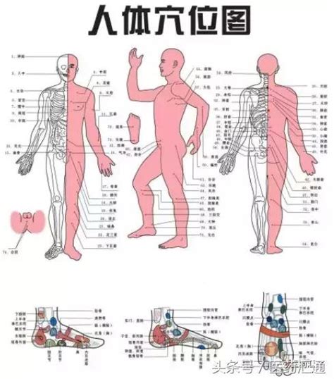 源穴|原穴:原穴圖示,原穴概述,原穴定義,關於源流,原穴與病理,動力,穴位…